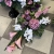 IMG_2983.JPEG