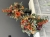 IMG_4282.JPEG