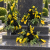 181EEF12-2E00-4493-9449-9F95FFE124C5.PNG