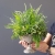 20200706_165356.jpg