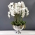 hghg.jpg