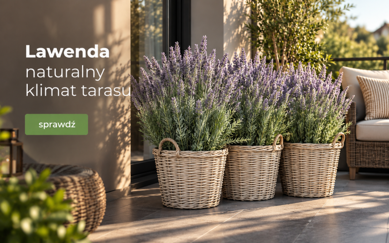 Zdjęcie banera prawego